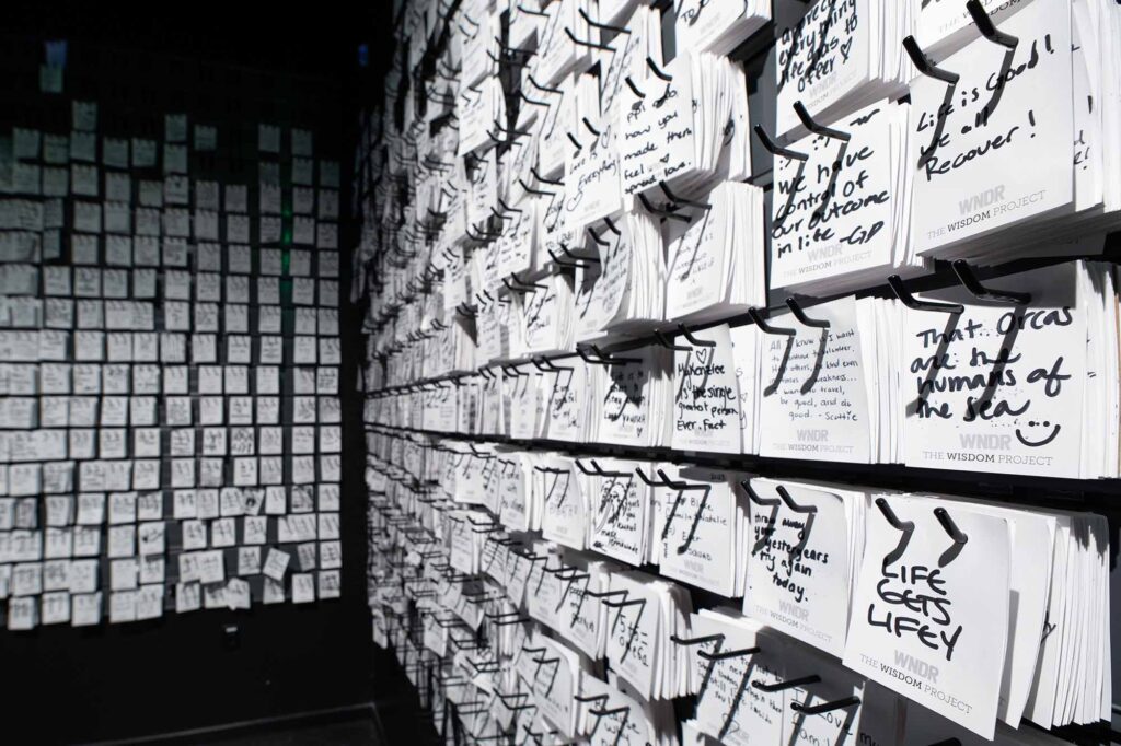 Wall of white note cards with handwritten messages from WNDR guests answering the question "What do you know for sure?"