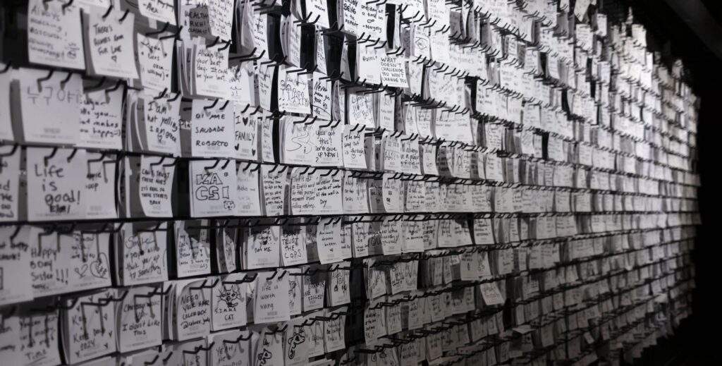Wall of white note cards with handwritten messages from WNDR guests answering the question "What do you know for sure?"